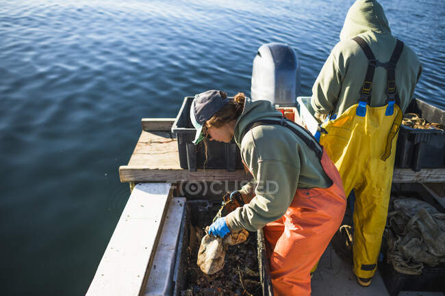 Aquakultur-Muschelfischen auf Muscheln am frühen Morgen in der Narragansett Bay in Rhode Island — Stockfoto
