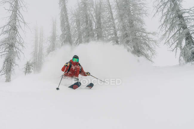 Sciatore in polvere a Wolf Creek — Foto stock