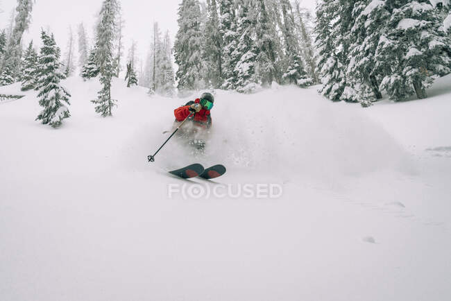 Esquiador haciendo vueltas en polvo en Colorado - foto de stock