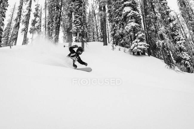 Esquiador em pó em Wolf Creek — Fotografia de Stock