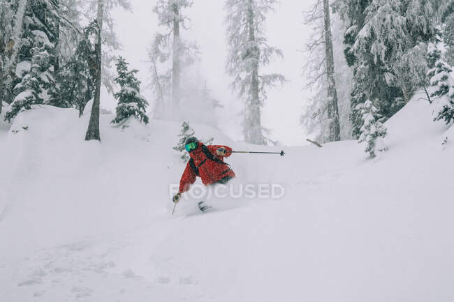 Skifahrer fährt im Pulverschnee durch Bäume in Colorado — Stockfoto