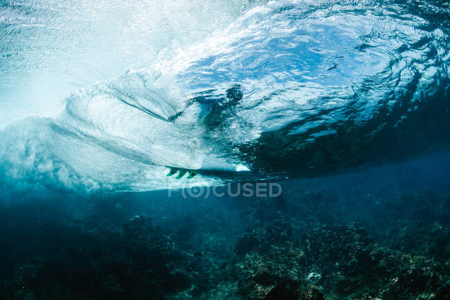 Vista submarina de un surfista sobre la ola - foto de stock