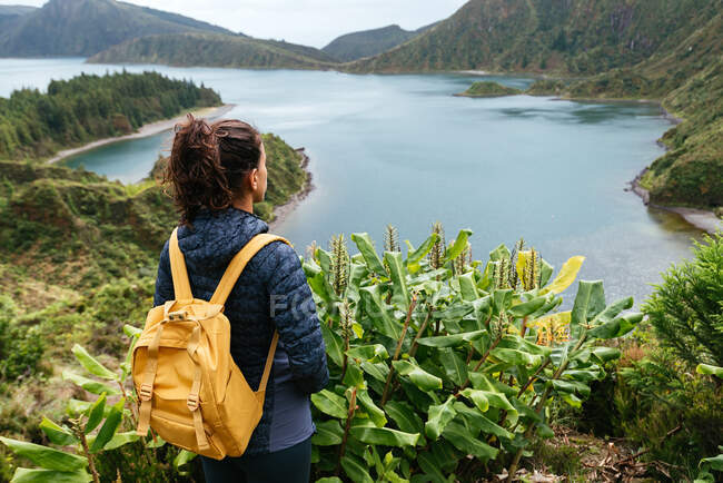 Вид ззаду молода жінка, насолоджується природою — стокове фото