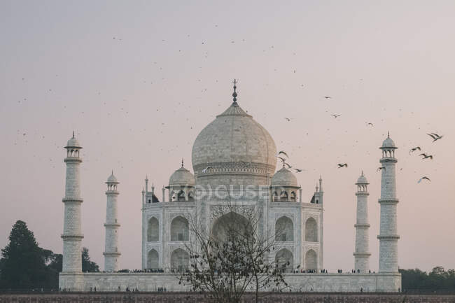 Taj Mahal al atardecer mientras las aves vuelan alrededor, como se ve desde el mirador Mehtab Bagh, Agra - foto de stock