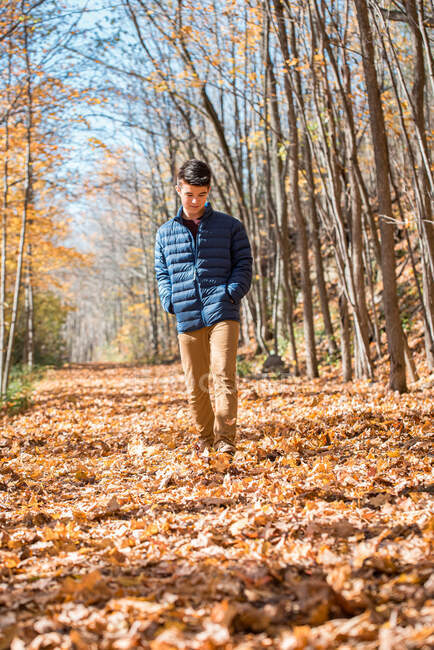 Ragazzo adolescente che cammina da solo nel bosco in una giornata autunnale. — Foto stock
