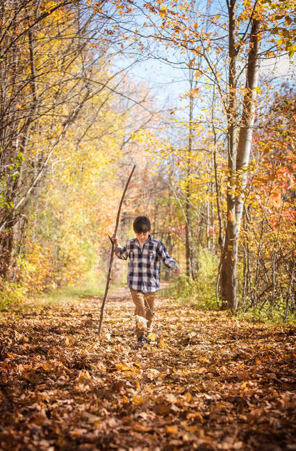 Niño caminando por el camino cubierto de hojas con un palo grande en el día de otoño. - foto de stock