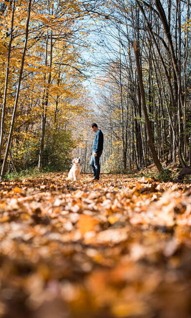 Man and his dog looking at one another on leaf covered path in woods. — Stock Photo