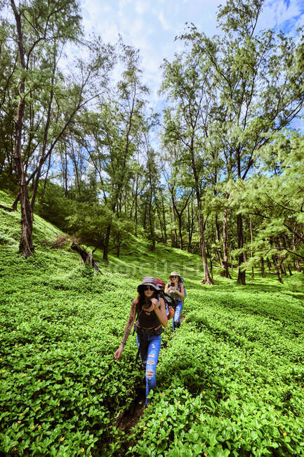 Backpackers escursione attraverso la valle di Pololu sulla Big Island, Hawaii — Foto stock