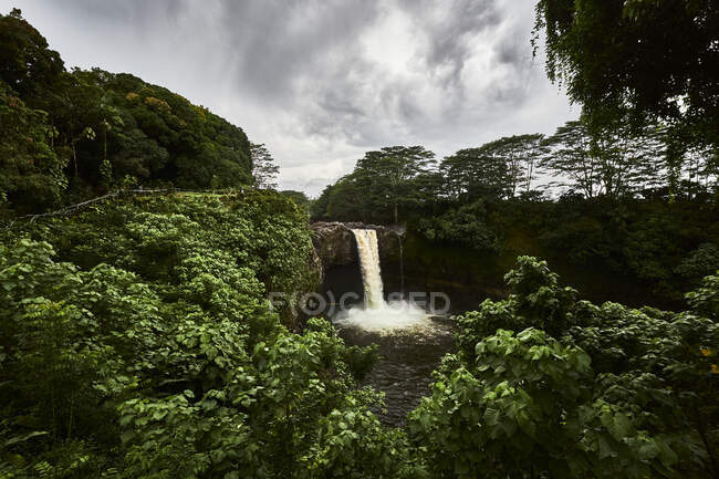 Красивый водопад в лесу — стоковое фото