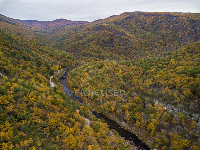 Vista aérea, río en las montañas en otoño - foto de stock