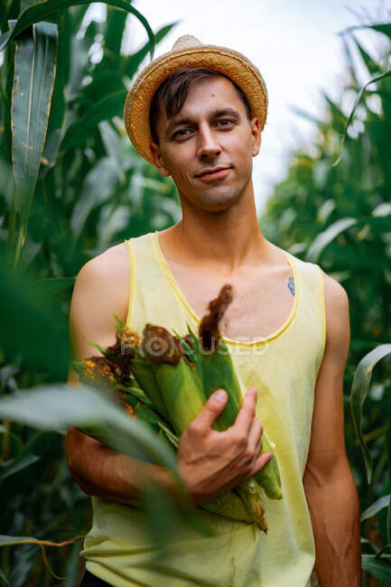 Junger Mann mit Hut pflückt Mais in einem Maisfeld — Stockfoto