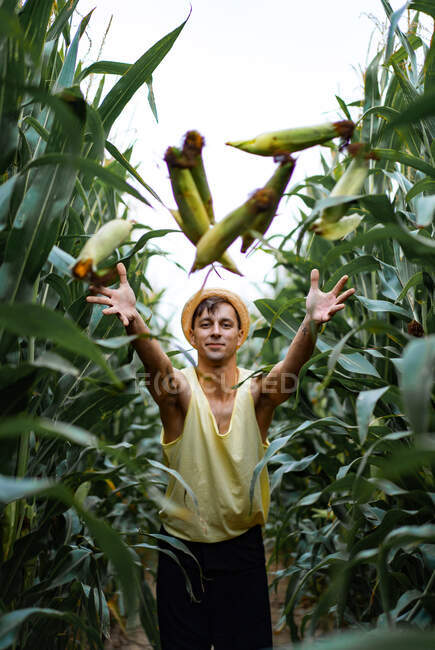 Jovem de chapéu pegando milho em um campo de milho — Fotografia de Stock
