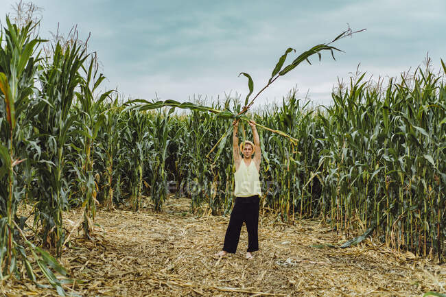 Young man in hat picking up corn in a corn field — Stock Photo