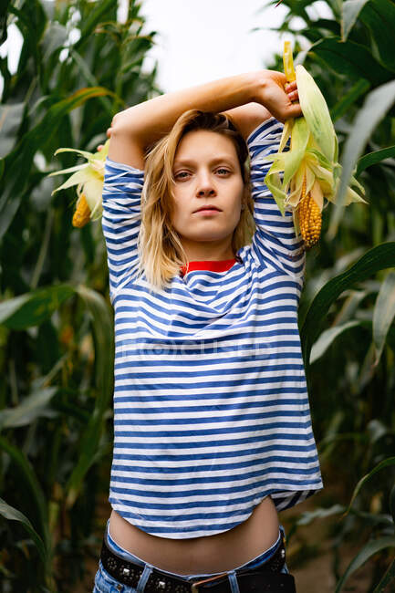 Chica en el campo de maíz. La hembra recoge maíz. - foto de stock