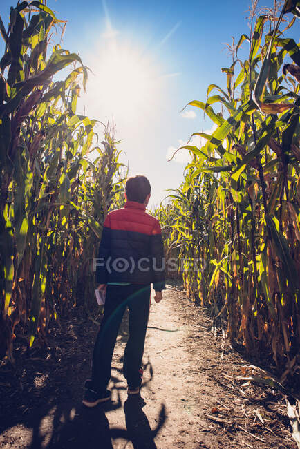 Kleiner Junge läuft an einem sonnigen Herbsttag durch ein Maislabyrinth. — Stockfoto