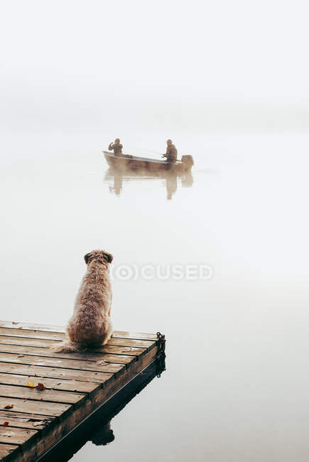 Два человека в рыбацкой лодке в тумане с собакой, наблюдающей с пристани. — стоковое фото