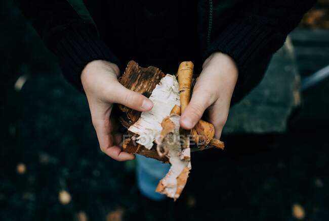 Child's hands holding wood to start a fire — Stock Photo