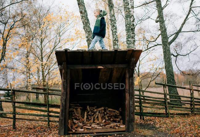 Boy stood on a wooden shed filled with wood in the forest — Stock Photo