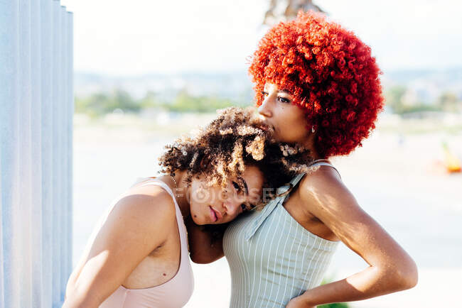 Two latin women  with afro hair posing - foto de stock