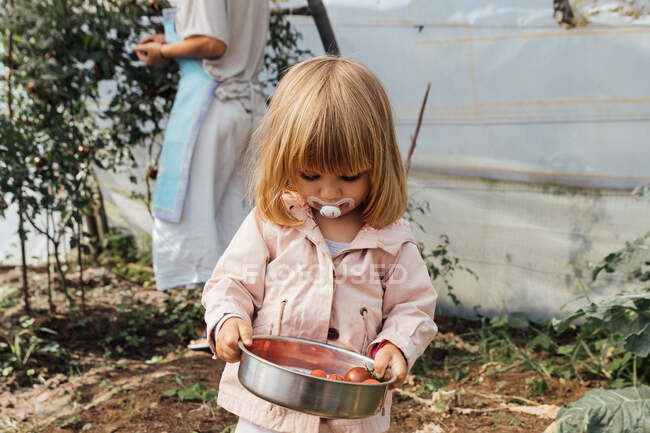 Menina com uma chupeta segurando uma caçarola com tomates cereja em um jardim. conceito de cultivo — Fotografia de Stock