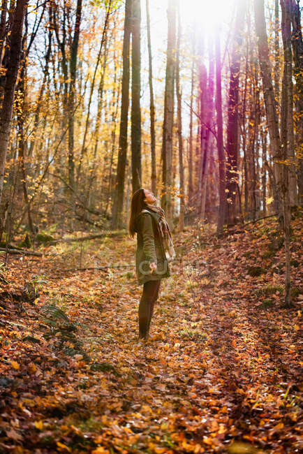 Woman standing in a forest looking up at the trees on an autumn day. — Stock Photo