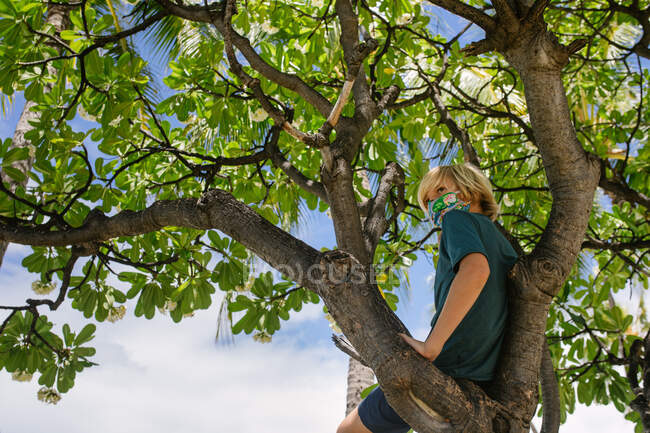 Tween Boy sitzt allein in einem Baum auf Hawaii und trägt eine bunte Maske — Stockfoto
