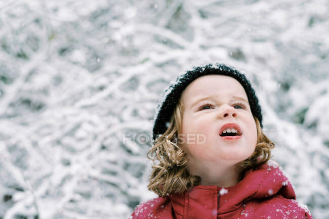 Menina experimentando uma queda de neve em outubro na Nova Inglaterra — Fotografia de Stock