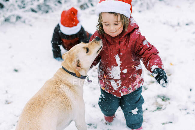 Two children and their dog playing in the snow wearing Santa hats — Stock Photo