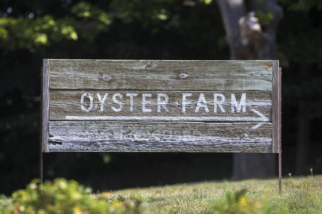 Wooden Oyster Farm Sign on grassy hill — Stock Photo