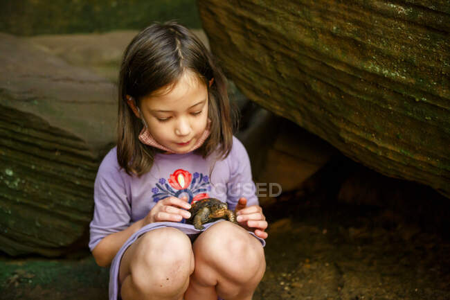 A little girl tenderly looks down at a small painted turtle in her lap — Stock Photo