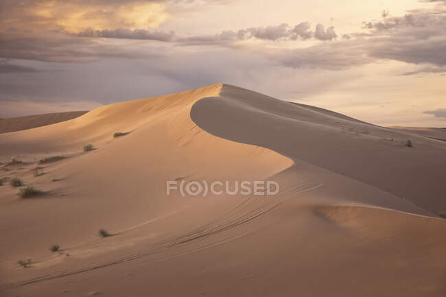 Merzouga, Sahara, Marruecos, Detalles del desierto con dromedarios - foto de stock