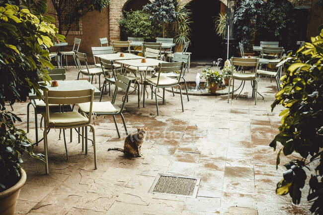 Sillas vacías y mesas en la calle en la ciudad de Venecia, italia - foto de stock