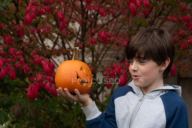 Young boy holding a mini jack-o-lantern outdoors and smiling at it. — Stock Photo