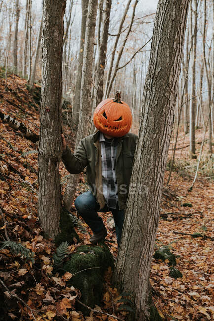 Mann trägt zu Halloween gruselig geschnitzten Kürbiskopf im Wald. — Stockfoto