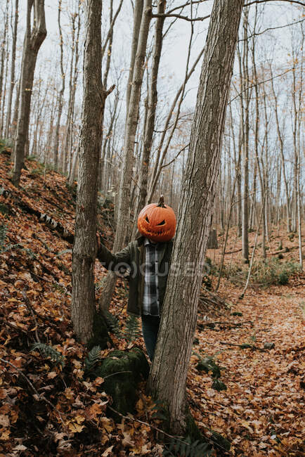 Uomo che indossa spaventosa testa di zucca intagliata nel bosco per Halloween. — Foto stock