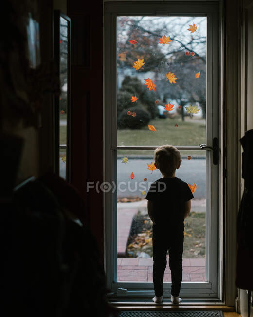 Ein kleiner Junge blickt aus einer gläsernen Sturmtür mit Herbstblatt-Abziehbildern — Stockfoto