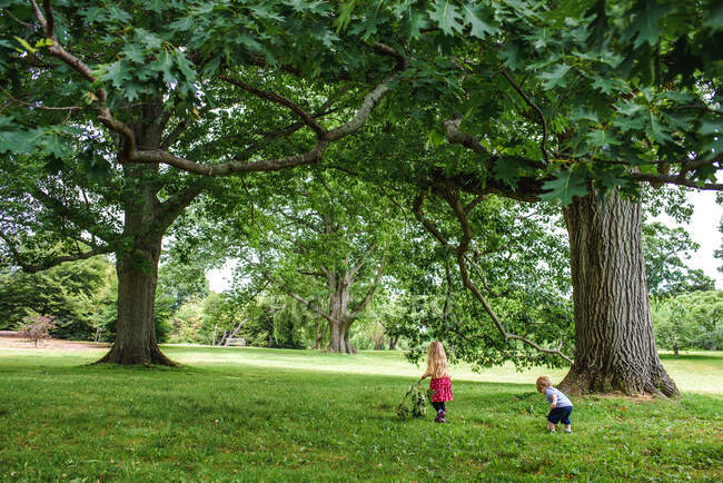 Dos niños suben a una colina bajo unos árboles. - foto de stock
