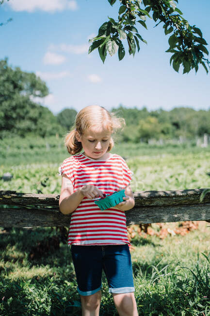 Ein kleines Mädchen isst frisch gepflückte Himbeeren. — Stockfoto
