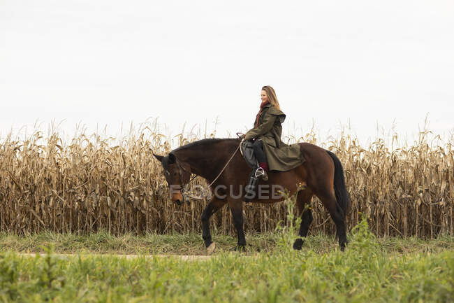 Молодая лошадка с лошадью на улице — стоковое фото