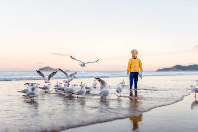 Criança sorridente com gaivotas na praia na Nova Zelândia — Fotografia de Stock