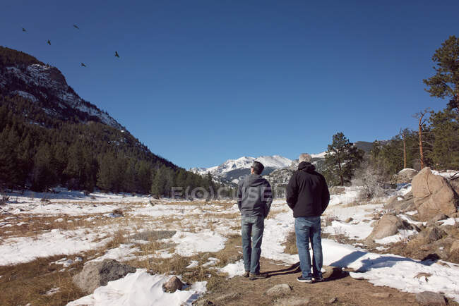 Zwei Männer beobachten Vögel in den Rocky Mountains an einem sonnigen Tag — Stockfoto