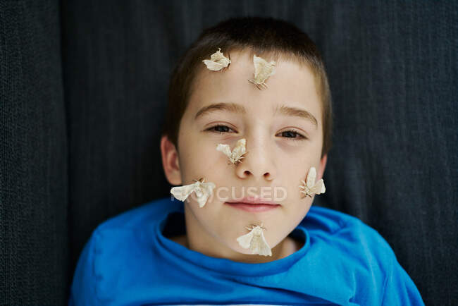 Boy with serious look posing with silkworm butterflies on his face wearing a blue shirt. Childhood concept — Stock Photo