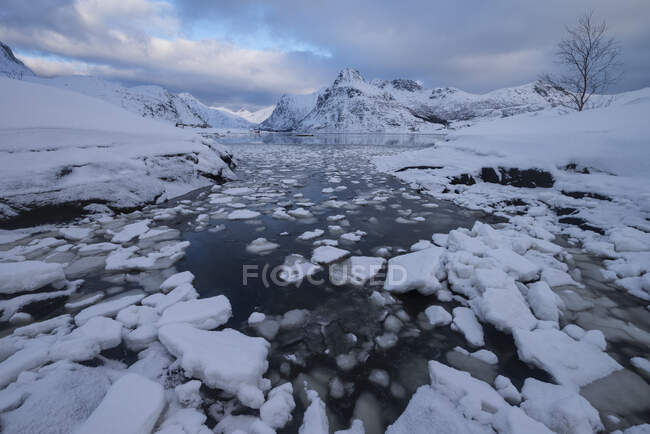 Eisgefüllte Bucht mit weit entfernten Bergen an Flockenpollen, erhabenen Inseln, nirgends — Stockfoto