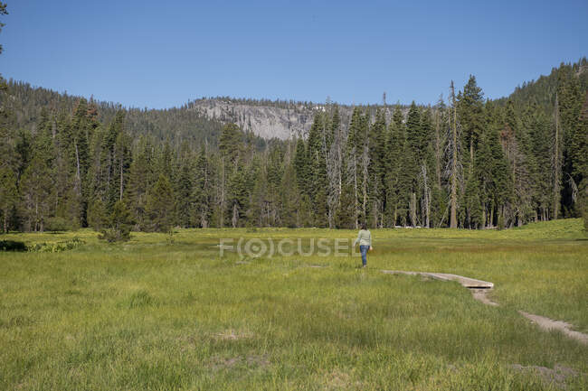 Woman walking on boardwalk through big green grass valley — Stock Photo