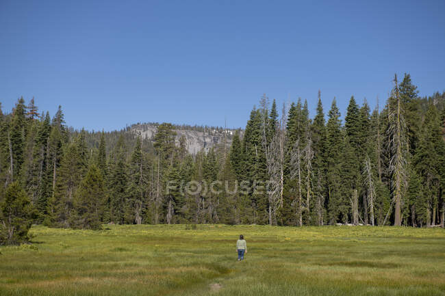 Жінка ходить по пішохідній стежці через велику зелену траву в лісі — стокове фото