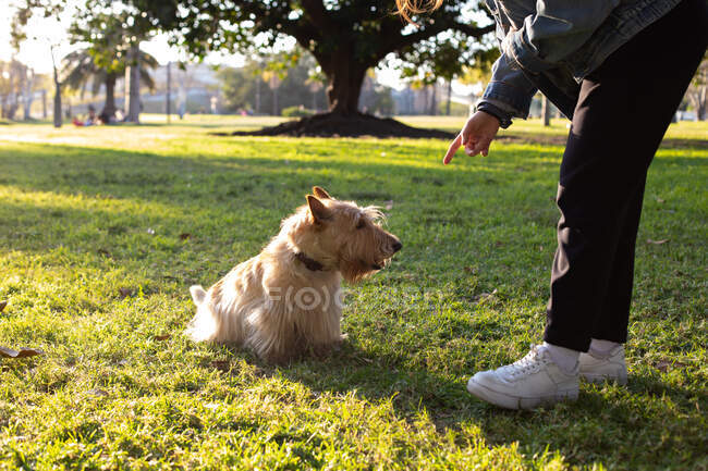 Das Mädchen, das einen Hund trainiert, ist der Scottish Terrier — Stockfoto