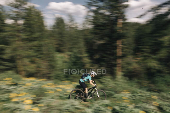 A young woman rides her bike through sunflowers in Winthrop, WA. — Stock Photo