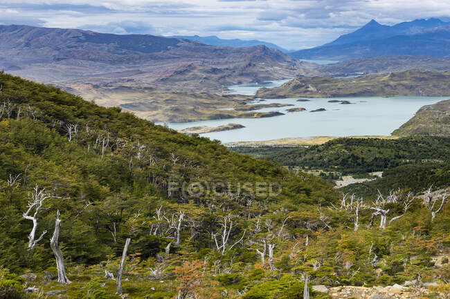 Parque Nacional Torres del Paine, no sul da Patagônia chilena — Fotografia de Stock