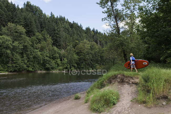 A young man carries his standup paddleboard to a river in Oregon. — Stock Photo