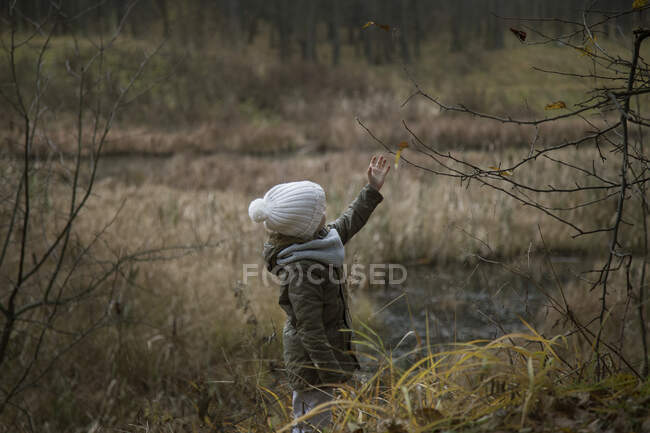 Ребенок тянет руку к ветке дерева. — стоковое фото